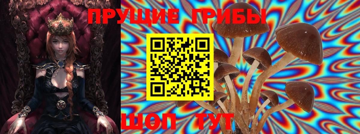 Дербент  Галлюциногенные грибы ЛСД  Вход с VPN 