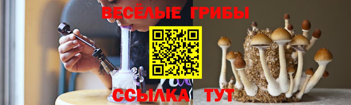 Псилоцибиновые грибы GOLDEN TEACHER Дербент