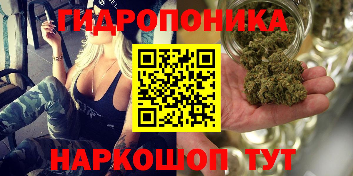 Конопля OG Kush  Каннабис планчик  Дербент  Вход с VPN 